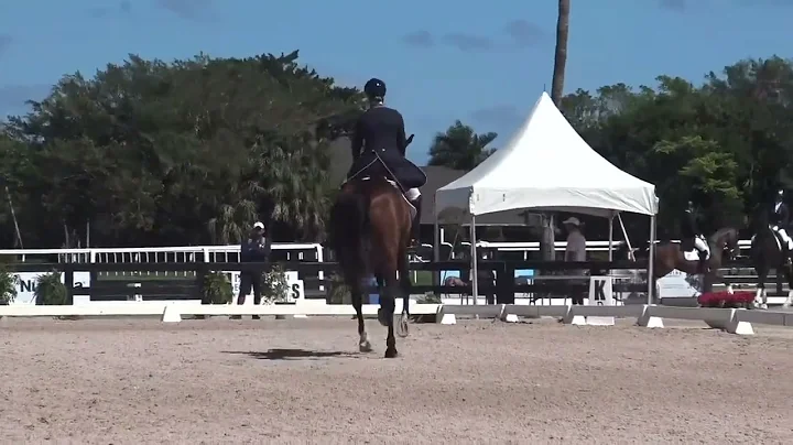 First Grand Prix for Quarterline and Jennifer Will...