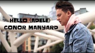 adele vs conor maynard hello alig adele vs conor maynard hello alig