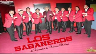 Video thumbnail of "LA PIZZA LOS SABANEROS DE ANICETO MOLINA"