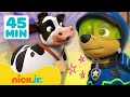 Patrulha Canina | Resgates de Animais da Fazenda com a Patrulha Canina! | 45 Minutos | Nick Jr.