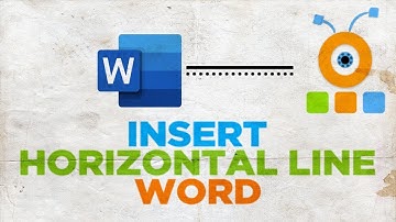 How to Insert a Horizontal Line in Word 2019 for Mac | Microsoft Office for macOS
