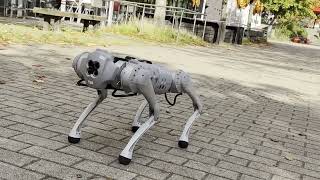 Unitree GO PRO-1 Roboterhund (DOG-Robot) Boston Dynamics