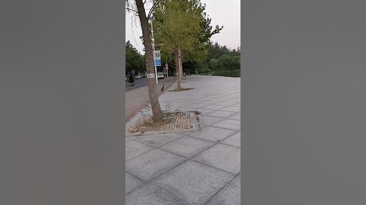 Утка по Пекински. Как ловят уток в Китае