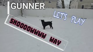 ❄️ O SNOW HE DIDN'T ❄️ #cute #funny #pigandfriends by PIG AND FRIENDS  45 views 4 months ago 2 minutes, 32 seconds