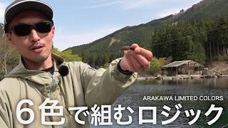 シンプルな6色で成立する。ARAKAWA LIMITED COLORS の考え方｜発光路の森
