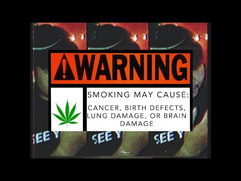 40KBOY x LT - WEED (Visualizer Video)
