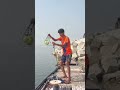 Fish Ndjguhhd Jgekyjry Djteji Dufejtjr Urgjeyjdby Fish Fishing Fishingvideo