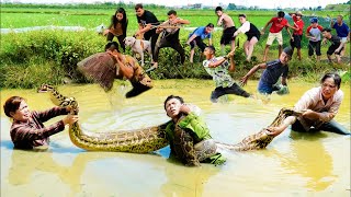 Download Lagu Shocking! Giant Python Attacks Dad! Two Brave Sisters Rescue - Harvesting Coconuts to Sell at Market MP3 Download Lagu Shocking! Giant Python Attacks Dad! Two Brave Sisters Rescue - Harvesting Coconuts to Sell at Market MP3