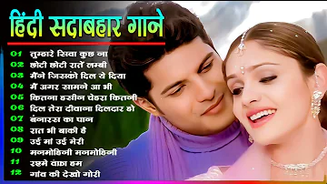 Hindi Gana🌹Sadabahar Song 💖हिंदी गाने 💔Purane Gane Mp3 💕Filmi Gaane अल्का याग्निक कुमार सानू गीत