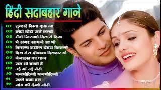 Hindi Gana🌹Sadabahar Song 💖हिंदी गाने 💔Purane Gane Mp3 💕Filmi Gaane अल्का याग्निक कुमार सानू गीत