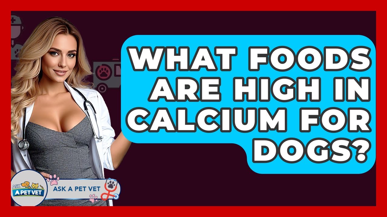 What Foods Are High In Calcium For Dogs? - Ask A Pet Vet
