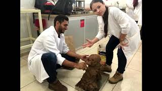 Simulação De Uma Barragem De Enrocamento 12