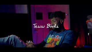 Teww Talez - Teww Birds Lyric Video prod. By @CodyCarri11o