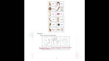 6TH ENGLISH REFRESHER COURSE MODULE ANSWER KEY FOR 1.PICTURE READING