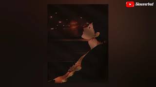 Download Gallan Teri Mithiyan Main Saari Raat Lofi | Dil Na Jaaneya | Slowed And Reverbed Video MP3 Gallan Teri Mithiyan Main Saari Raat Lofi | Dil Na Jaaneya | Slowed And Reverbed