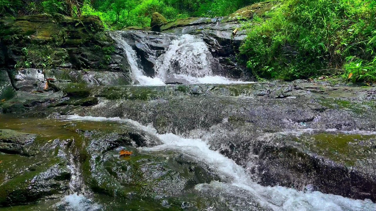 Water Stream Serene - Brook Ambiance for Mood Booster and Relaxation