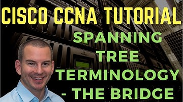 Cisco Spanning Tree Terminology - The Bridge