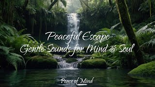 Serene Pathways • Soft Relaxing Music with Nature Sounds for Inner Peace & Clarity