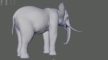 Maya Elephant 3D Model Topology Turnaround