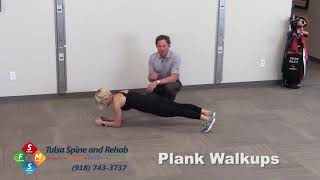 Plank Walkups