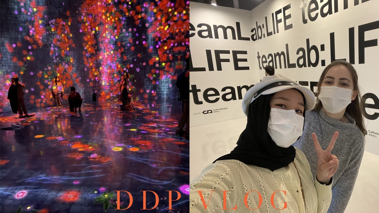 TeamLab LIFE Art Exhibition DDP, Ghibli Studio Silent Korea Vlog