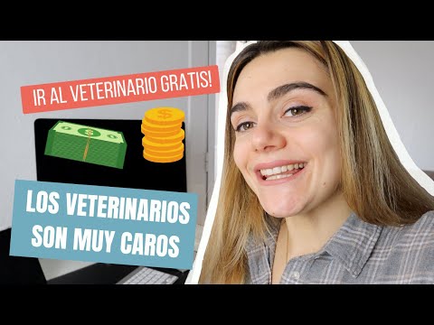 Video: ¿Por qué son tan caros los veterinarios?