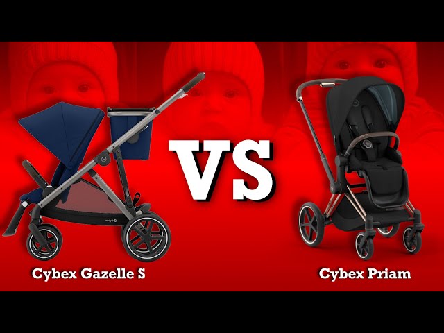 skip hop double stroller organizer babyGap Classic Parent for rod-boss-2-5-ball-and-socket-single-screen-electronics-mount-6025em Color:Trick or Treat Lululemon Wunderlust Backpack 14L phone and other valuables