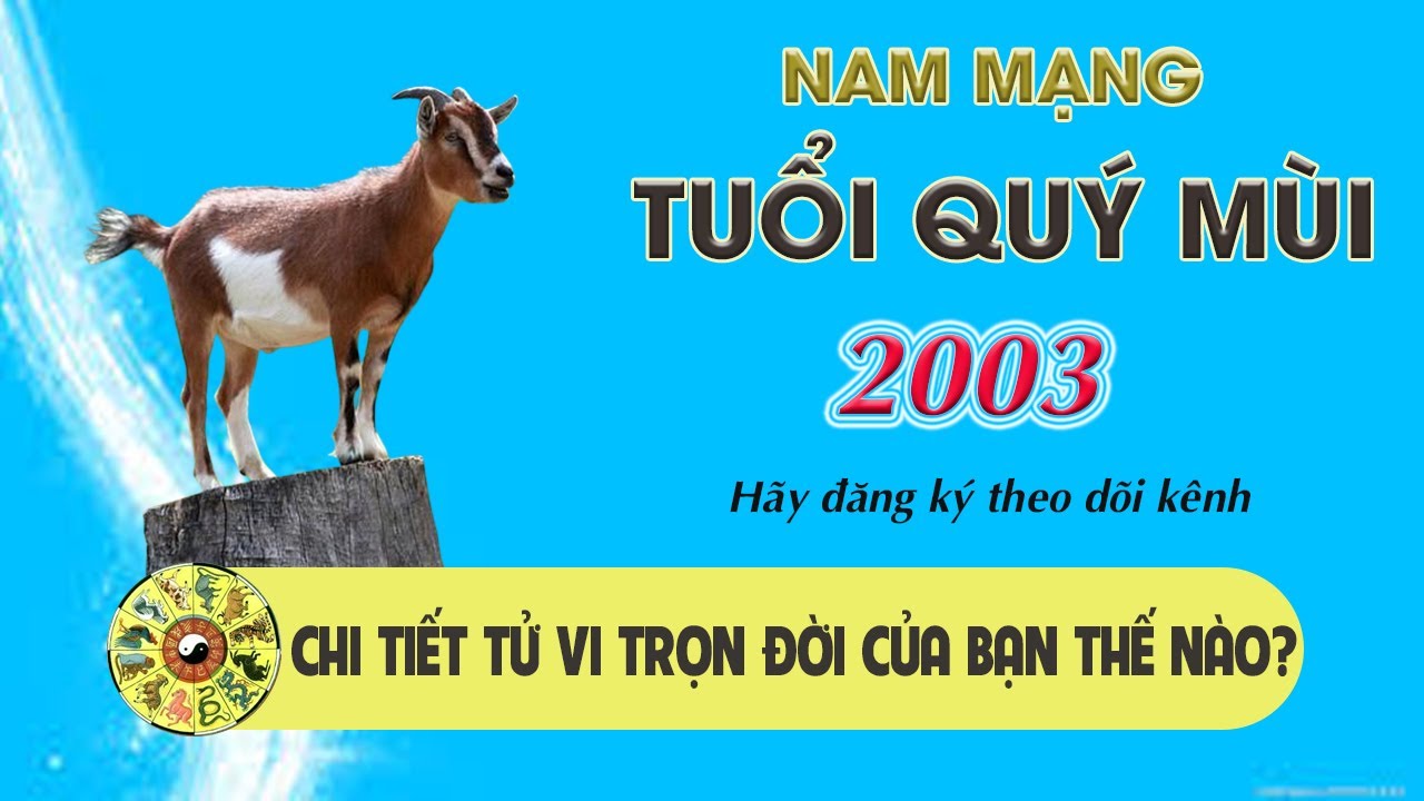 CHI TIẾT TỬ VI TRỌN ĐỜI TUỔI QUÝ MÙI 2003 NAM MẠNG