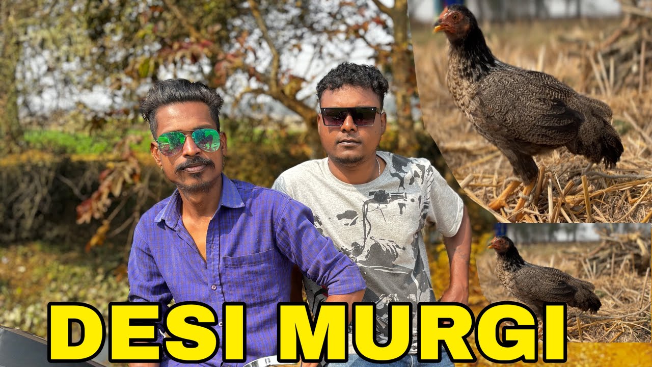 Desi Murgi Kunte Giye Vlog Video 