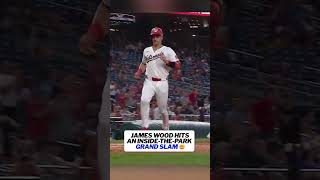 You don't see one of these every day 🤯 #mlb #nationals