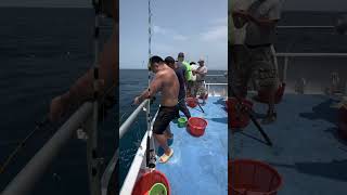 Voyager Deep Sea Fishing, North Myrtle Beach 7am 12 hour trip.  7-18-2023