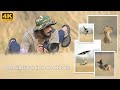 Tamron 150-500 mm and Tamron 50-400 mm Lens new Firmware Update Review. | Sony A7 IV Focus Tracking