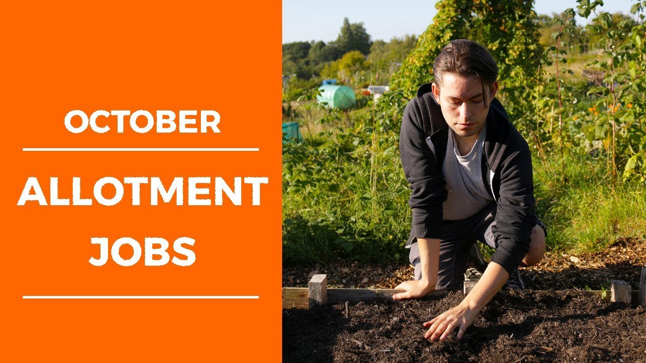 Change is Coming... October Allotment Jobs - (UK Garden Diary 2019)