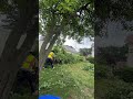 BUSH TRIMMING AVOIDING FENCE 👷🏾🔩🧱🚜🔨🔧🏗️🚧🪛🗜️🪚🪓⛏️⚒️🛠️