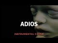 Rammstein - Adios Instrumental Cover (Live Version)