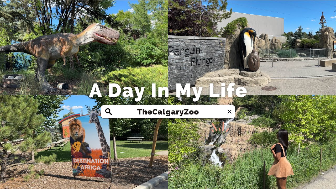 VLOG: Calgary Zoo 2023 | One of the Top Zoos in the World | Exploring as a New Immigrant in Canada