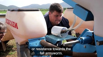 Hanlie Pretorius on Managing Fall Armyworm in South Africa