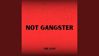 Not Gangster
