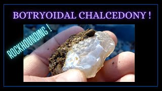 #rockhounding  Botryoidal Chalcedony !  Se. 7 Ep. 5   - By : Quest For Details