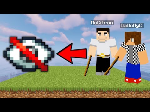 Minecraft, ale JSME SLEPÍ ! ❌👀