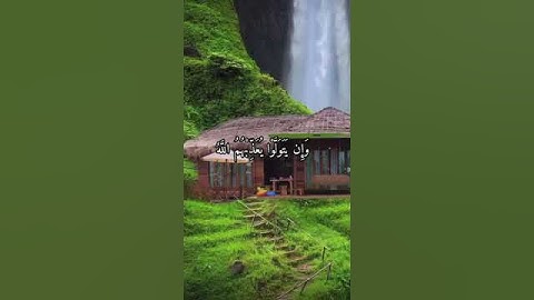 واتس اب قران كريم القارئ احمد خضر سوره التوبه #حالات