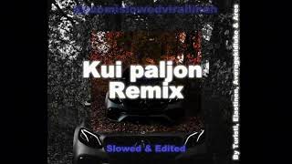 Kui Paljon Remix Slowed Edited