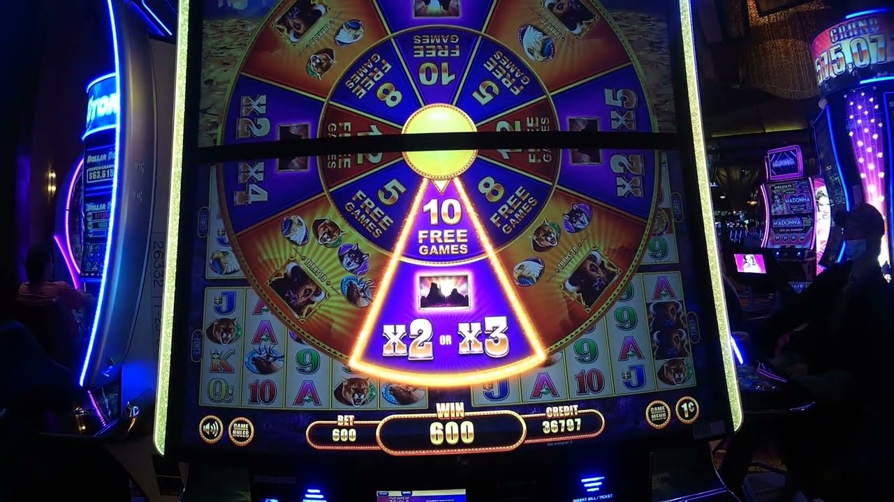 All 3 SUNSETS AT 3X 3X 3X On BUFFALO LEGENDS SLOT MACHINE BONUS Makes all-3-sunsets-at-3x-3x-3x-on-buffalo-legends-slot-machine-bonus-makes