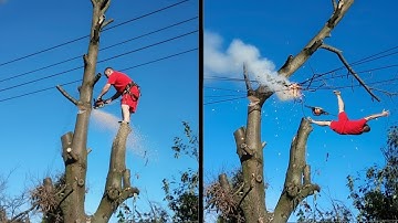 Idiots With Chainsaws: Tree Cutting Fails | Extreme Dangerous Logging Truck Fails