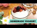 Resep Homemade Yoghurt