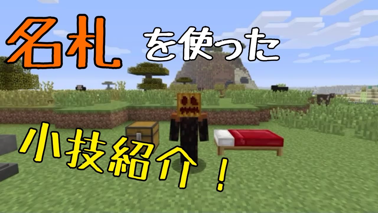 名札 付け方 マイクラ