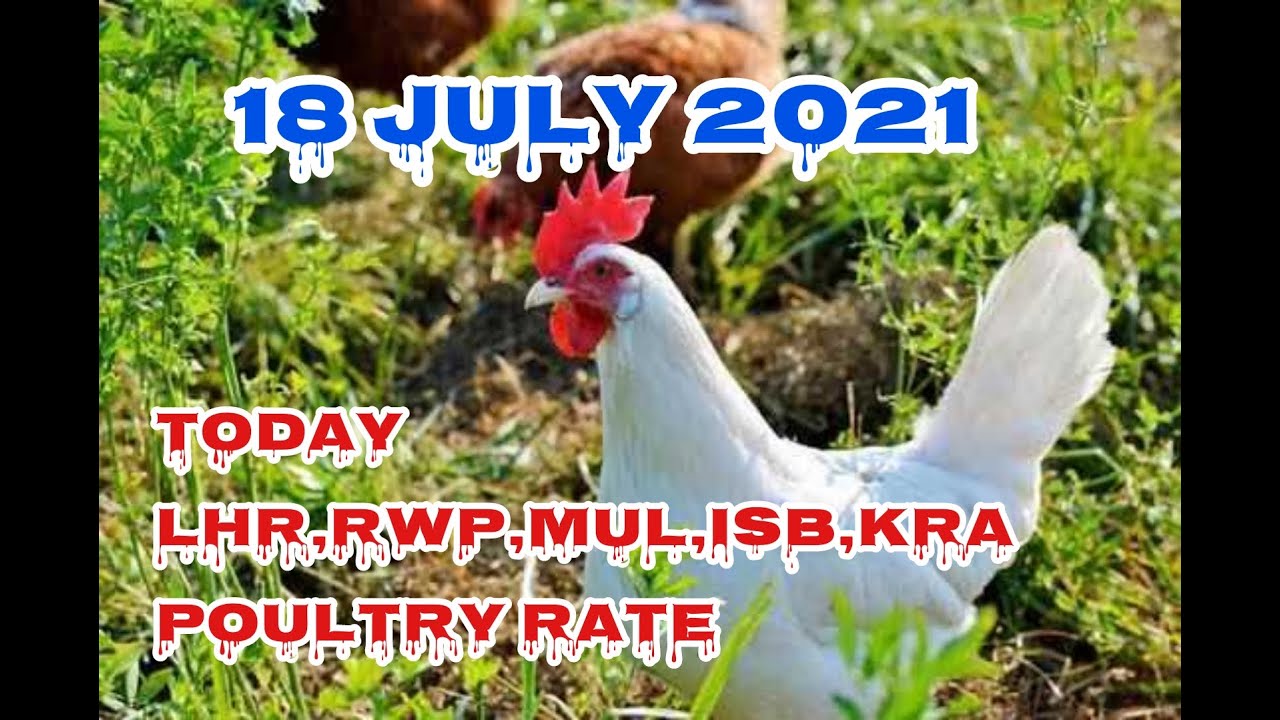 18 july/Poultry Rates/PUNJAB EGG RATE/MULTAN BRL RATE/KARACHI EGG RATE