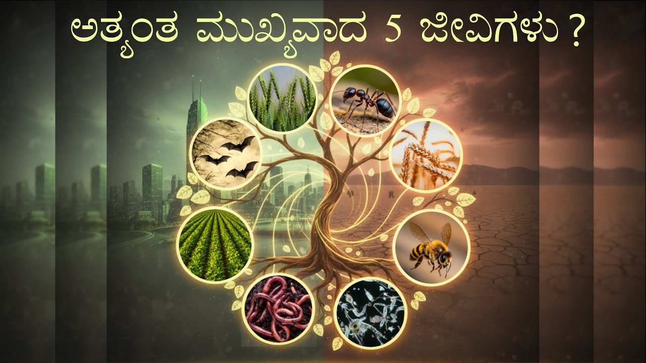 ಮಾನವರಿಗೆ ಅತ್ಯಂತ ಮುಖ್ಯವಾದ 5 ಪ್ರಾಣಿಗಳು | The 5 most important animals for humans