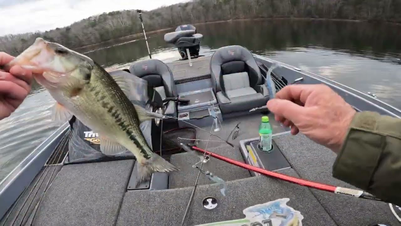 Ловля окуня в толще воды на домашнем пруду! Рыбалка на окуня на озере Лорел-Ривер, 23 декабря.