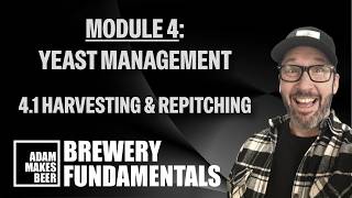 Harvesting & Repitching Yeast | Brewery Fundamentals 4.1